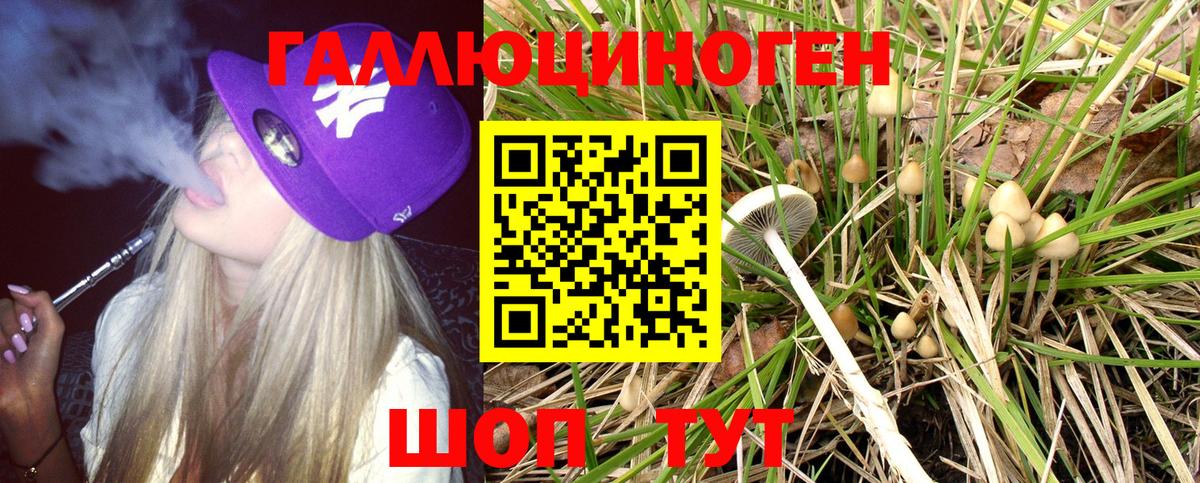 Галлюциногенные грибы Magic Shrooms  Вход с VPN  Псилоцибиновые грибы Psilocybe  Аксай 