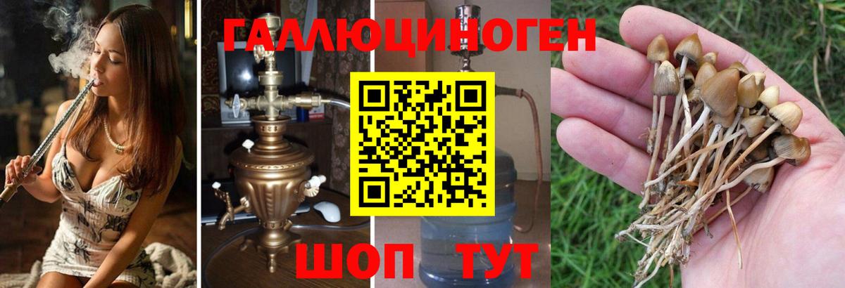 Галлюциногенные грибы MAGIC MUSHROOMS Аксай